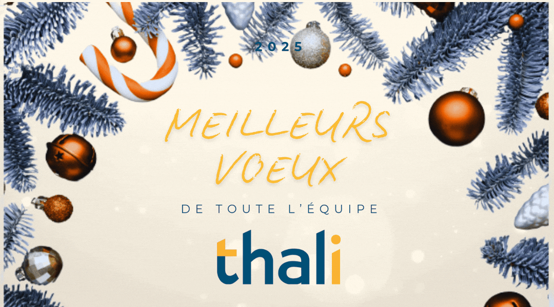 Thali vous souhaite de belles fêtes 🎄✨